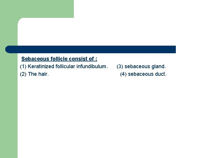 Sebaceous follicle consist of : (1) Keratinized follicular infundibulum. (2) The hair. (3) sebaceous