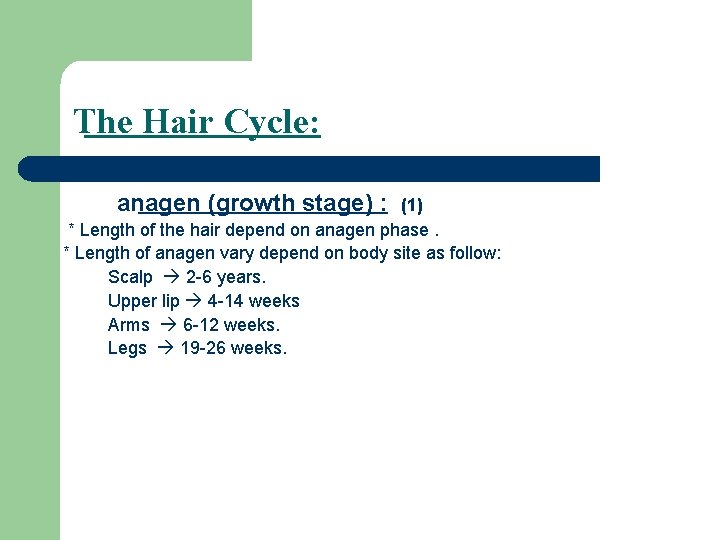 The Hair Cycle: anagen (growth stage) : (1) * Length of the hair depend