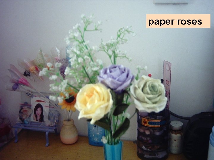 paper roses 