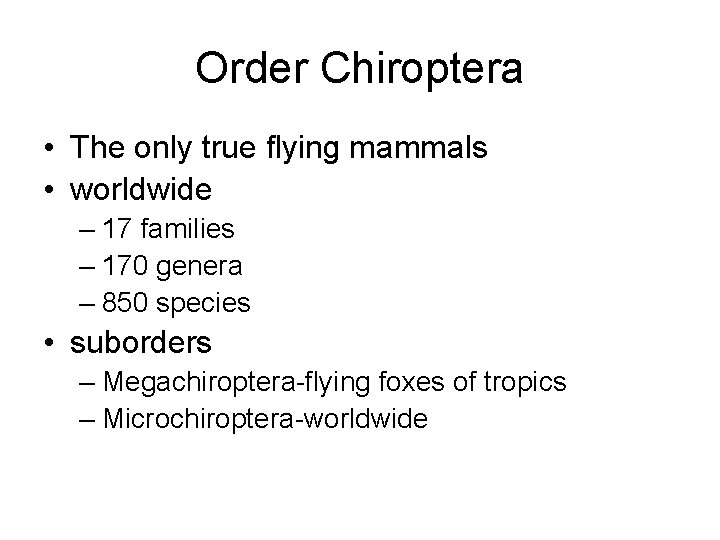 Order Chiroptera • The only true flying mammals • worldwide – 17 families –
