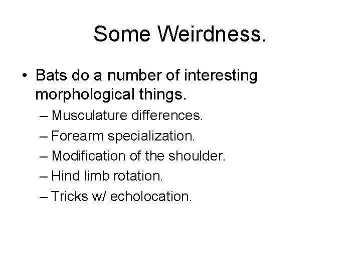 Some Weirdness. • Bats do a number of interesting morphological things. – Musculature differences.