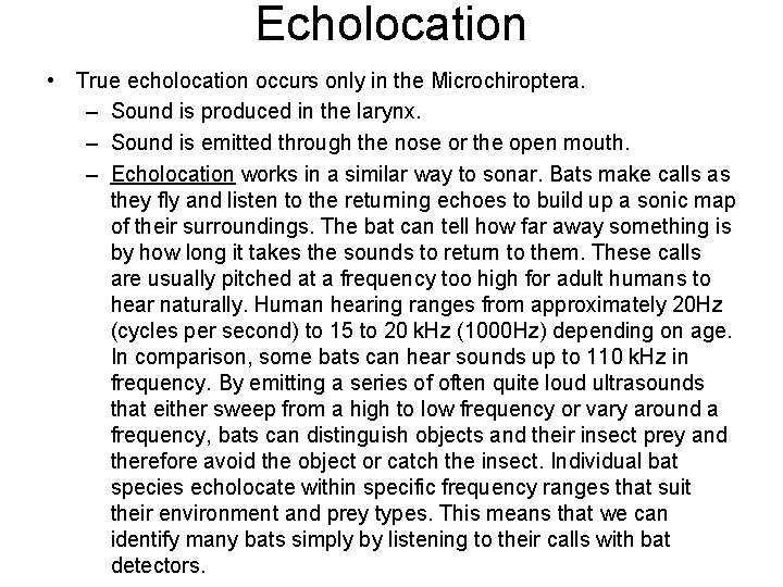 Echolocation • True echolocation occurs only in the Microchiroptera. – Sound is produced in