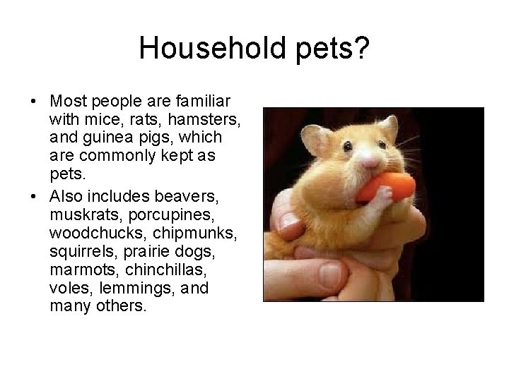 Household pets? • Most people are familiar with mice, rats, hamsters, and guinea pigs,