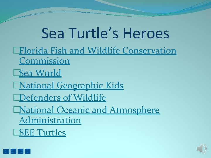 Sea Turtle’s Heroes �Florida Fish and Wildlife Conservation Commission �Sea World �National Geographic Kids