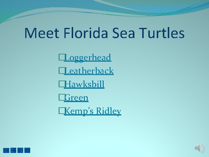 Meet Florida Sea Turtles �Loggerhead �Leatherback �Hawksbill �Green �Kemp’s Ridley 