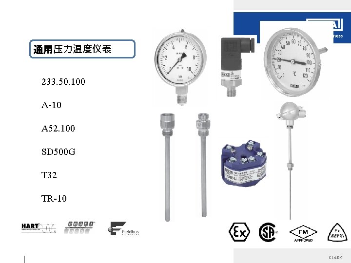 通用压力温度仪表 233. 50. 100 A-10 A 52. 100 SD 500 G T 32 TR-10