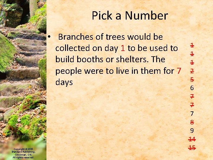 Pick a Number • Branches of trees would be collected on day 1 to