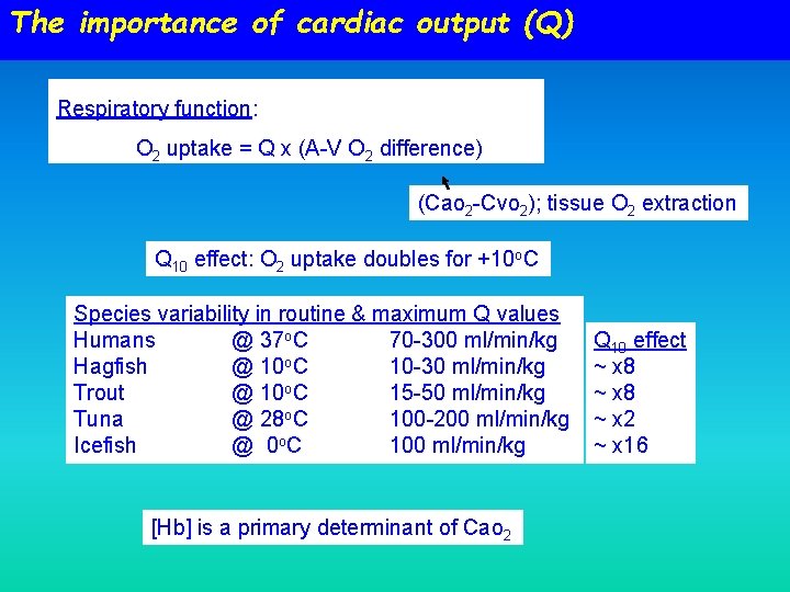 The importance of cardiac output (Q) Respiratory function: O 2 uptake = Q x The importance of cardiac output (Q) Respiratory function: O 2 uptake = Q x