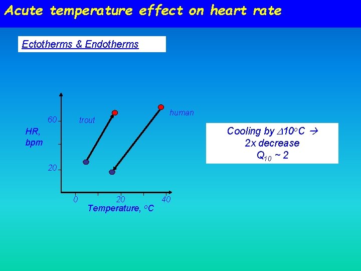 Acute temperature effect on heart rate Ectotherms & Endotherms 60 human trout Cooling by