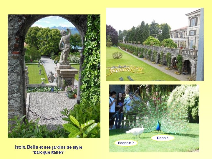 Paon ! Isola Bella et ses jardins de style ‘’baroque italien’’ Paonne ? 