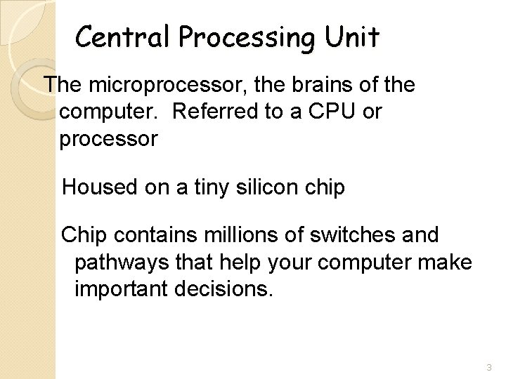 Central Processing Unit The microprocessor, the brains of the computer. Referred to a CPU