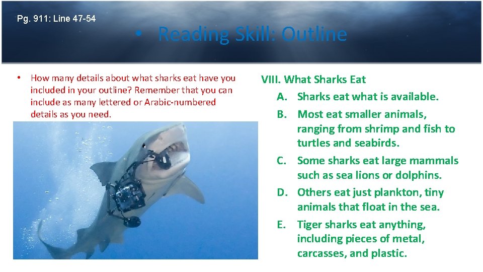 Pg. 911: Line 47 -54 • Reading Skill: Outline • How many details about