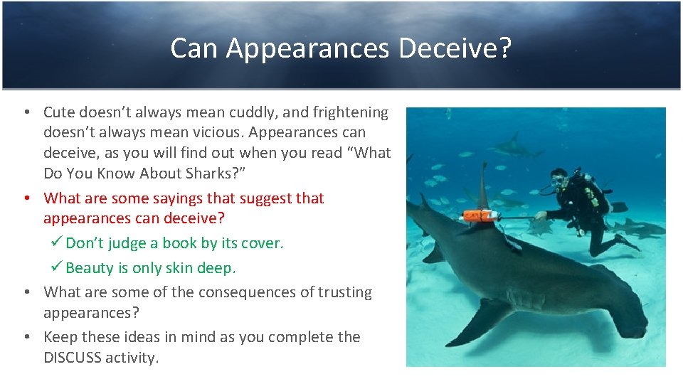 Can Appearances Deceive? • Cute doesn’t always mean cuddly, and frightening doesn’t always mean