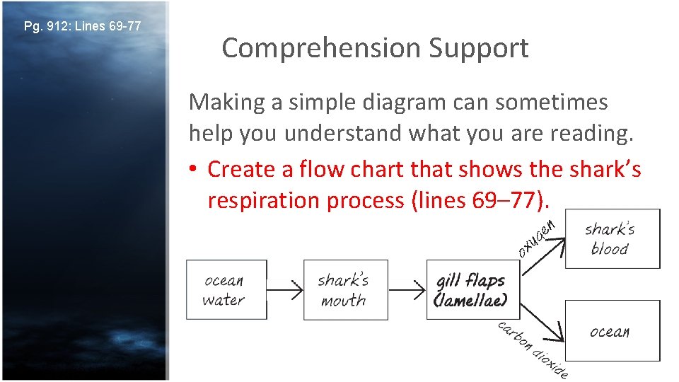 Pg. 912: Lines 69 -77 Comprehension Support Making a simple diagram can sometimes help