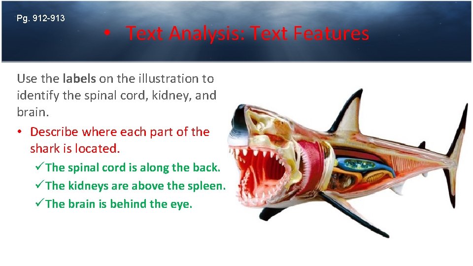 Pg. 912 -913 • Text Analysis: Text Features Use the labels on the illustration