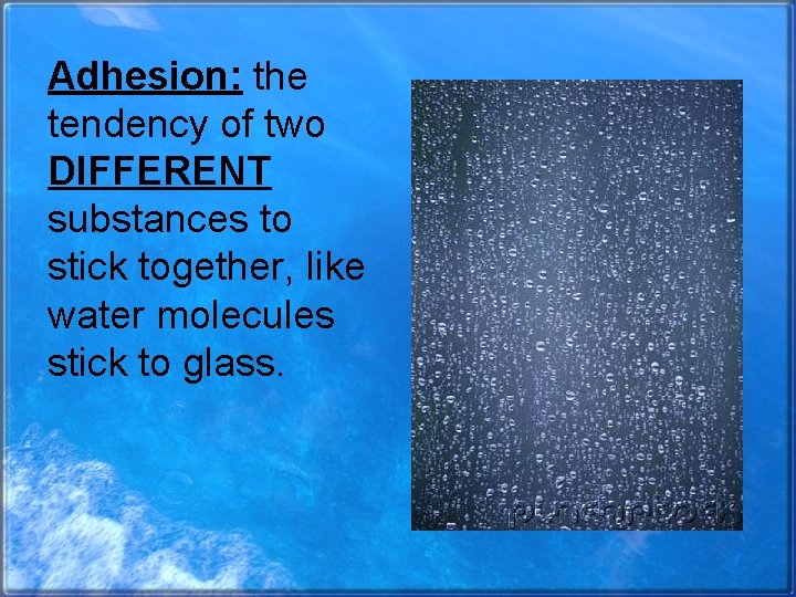 Adhesion: the tendency of two DIFFERENT substances to stick together, like water molecules stick