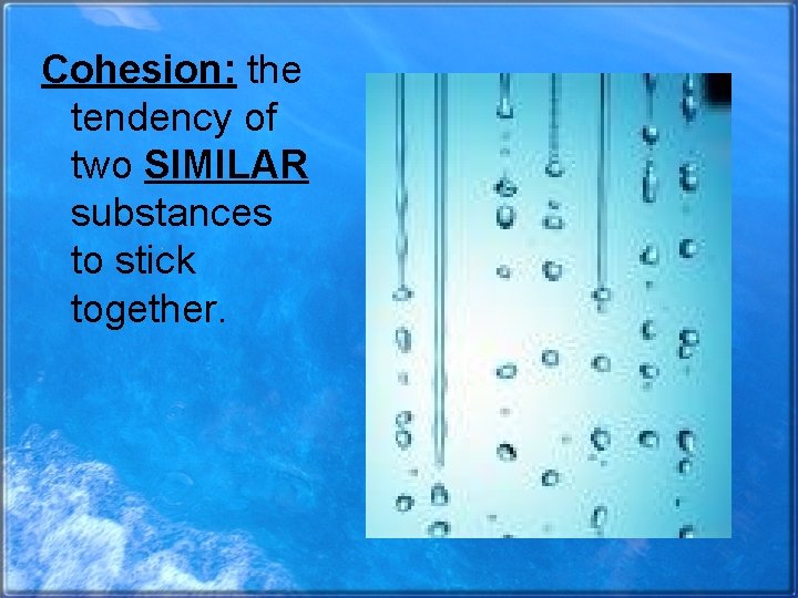 Cohesion: the tendency of two SIMILAR substances to stick together. 