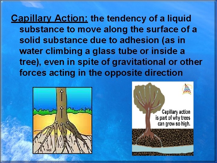 Capillary Action: the tendency of a liquid substance to move along the surface of
