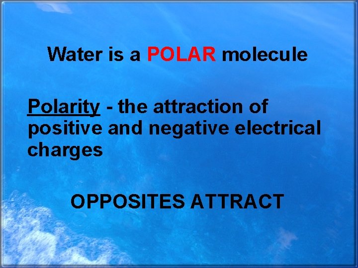 Water is a POLAR molecule Polarity - the attraction of positive and negative electrical