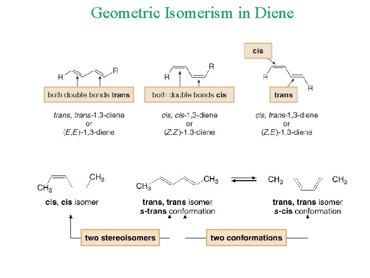 Geometric Isomerism in Diene 