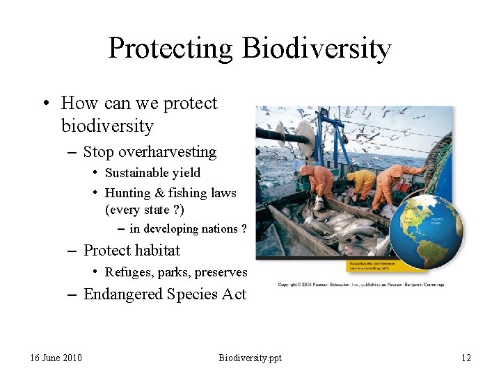 Protecting Biodiversity • How can we protect biodiversity – Stop overharvesting • Sustainable yield