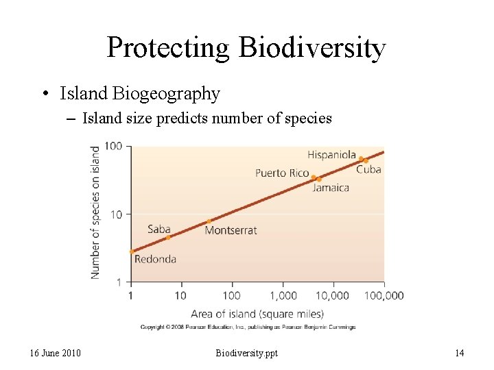 Protecting Biodiversity • Island Biogeography – Island size predicts number of species 16 June