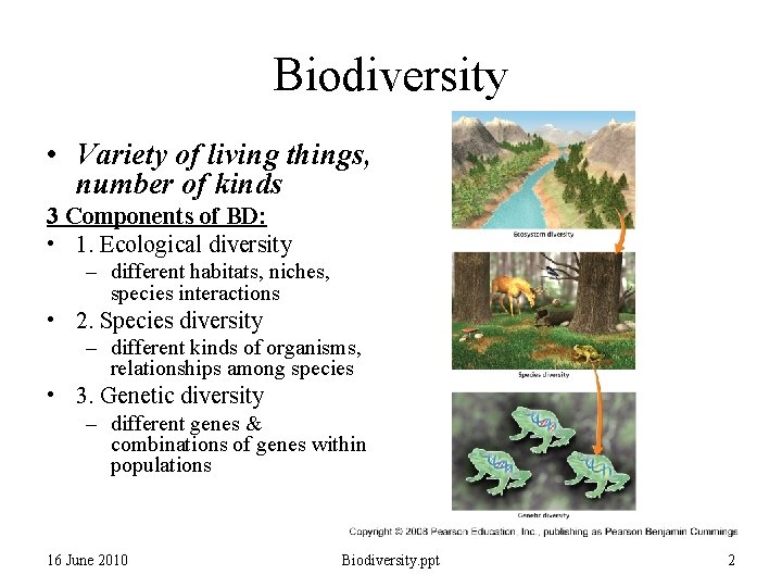 Biodiversity • Variety of living things, number of kinds 3 Components of BD: •