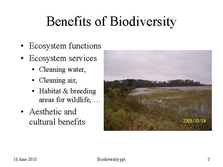 Benefits of Biodiversity • Ecosystem functions • Ecosystem services • Cleaning water, • Cleaning