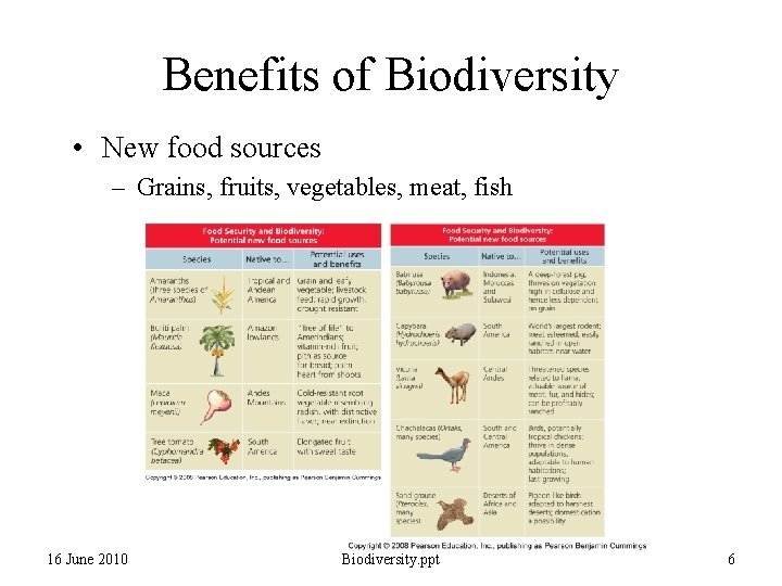 Benefits of Biodiversity • New food sources – Grains, fruits, vegetables, meat, fish 16