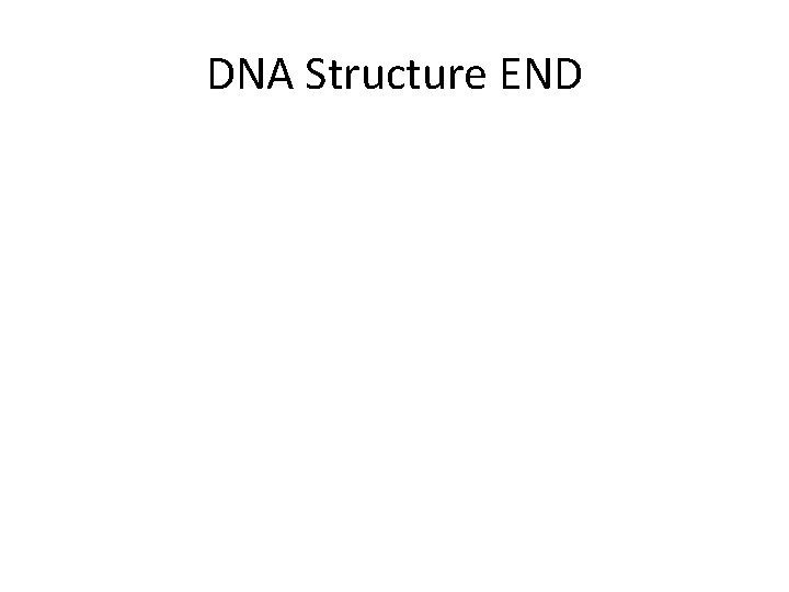 DNA Structure END 