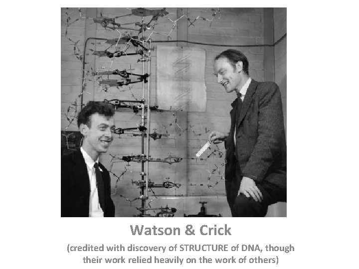 Watson & Crick (credited with discovery of STRUCTURE of DNA, though their work relied