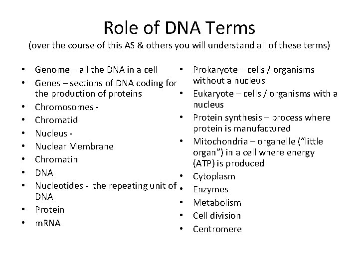 Role of DNA Terms (over the course of this AS & others you will