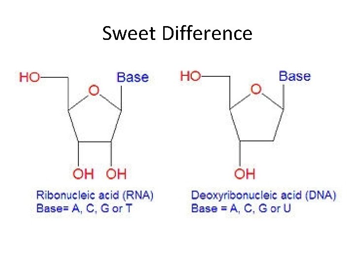 Sweet Difference 