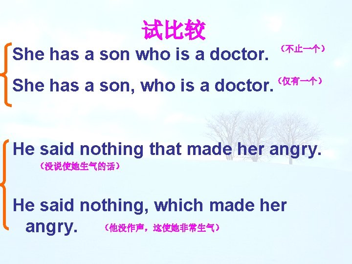 试比较 She has a son who is a doctor. （不止一个） She has a son,