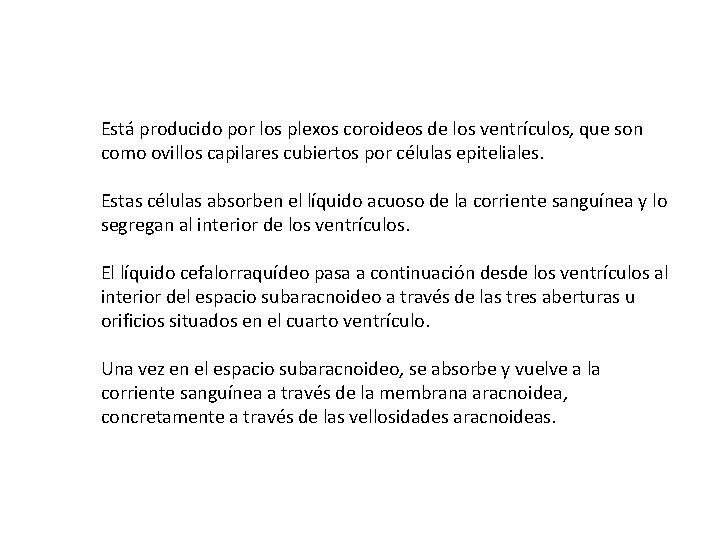 Está producido por los plexos coroideos de los ventrículos, que son como ovillos capilares