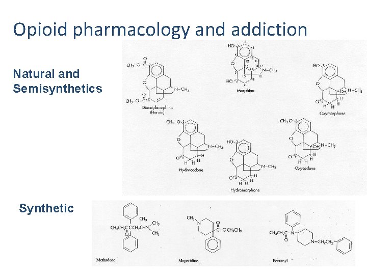 Opioid pharmacology and addiction Natural and Semisynthetics Synthetic 