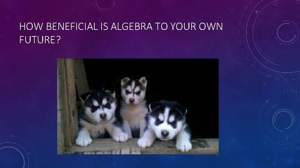 HOW BENEFICIAL IS ALGEBRA TO YOUR OWN FUTURE? 