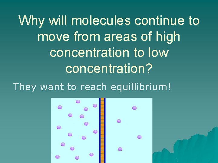 Why will molecules continue to move from areas of high concentration to low concentration?