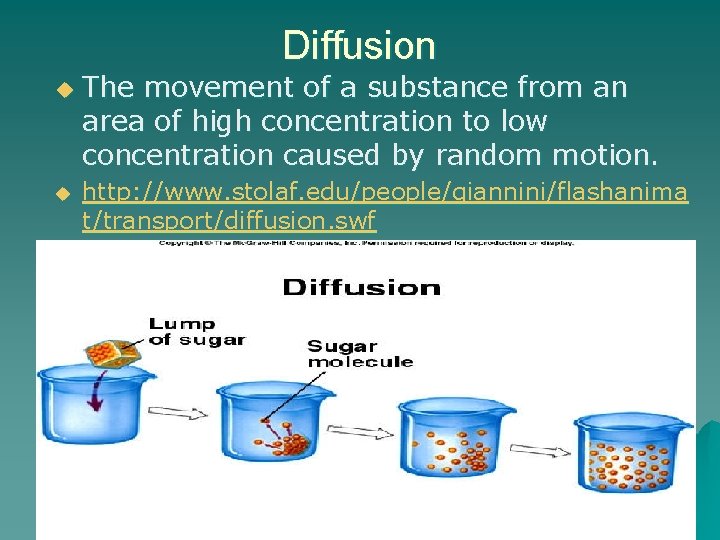 Diffusion u u The movement of a substance from an area of high concentration