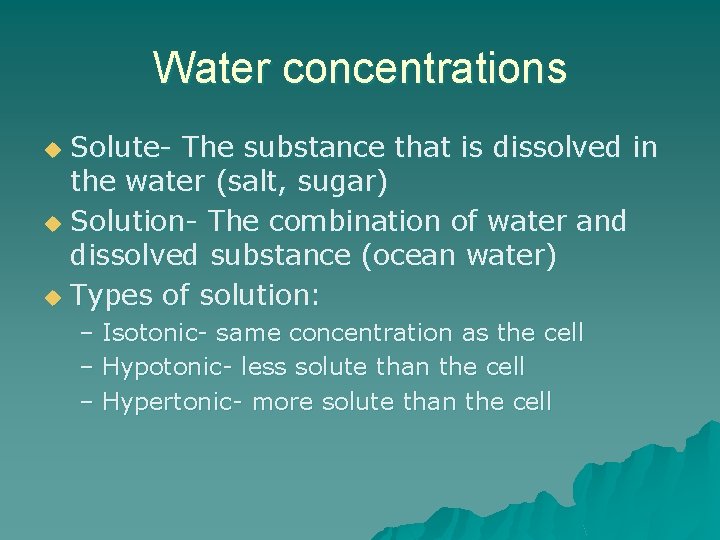 Water concentrations Solute- The substance that is dissolved in the water (salt, sugar) u