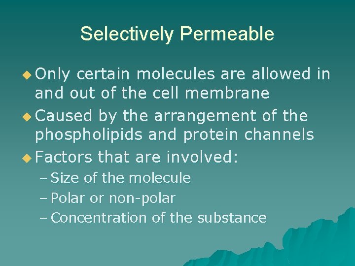 Selectively Permeable u Only certain molecules are allowed in and out of the cell