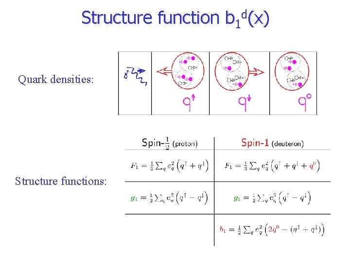 Structure function b 1 d(x) Quark densities: Structure functions: 