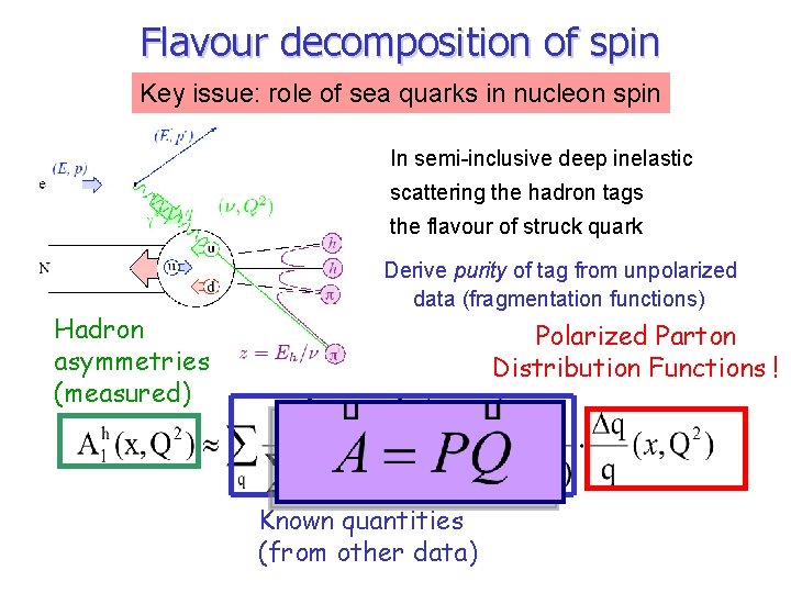 Flavour decomposition of spin Key issue: role of sea quarks in nucleon spin In