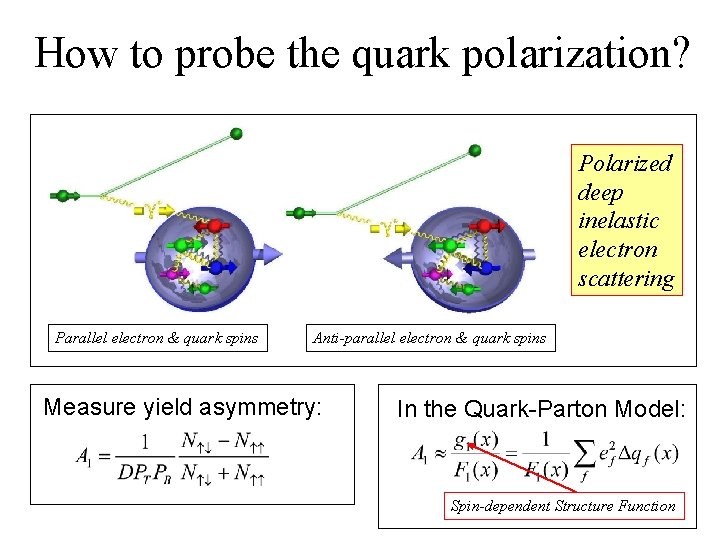 How to probe the quark polarization? Polarized deep inelastic electron scattering Parallel electron &