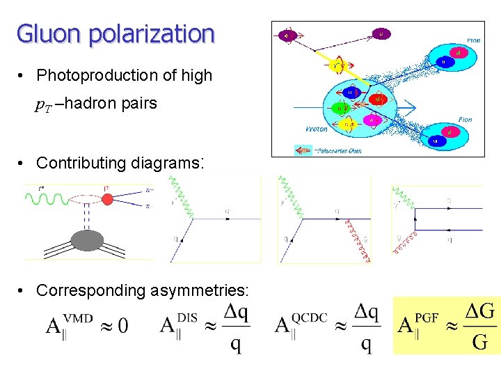 Gluon polarization • Photoproduction of high p. T –hadron pairs • Contributing diagrams: •
