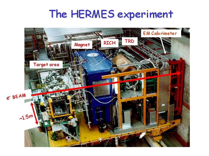 The HERMES experiment EM Calorimeter Magnet Target area e+ BEAM ~1. 5 m RICH