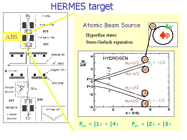 HERMES target Atomic Beam Source ABS |1> Hyperfine states ep Stern-Gerlach separation mi=+1/2 Smi=-1/2