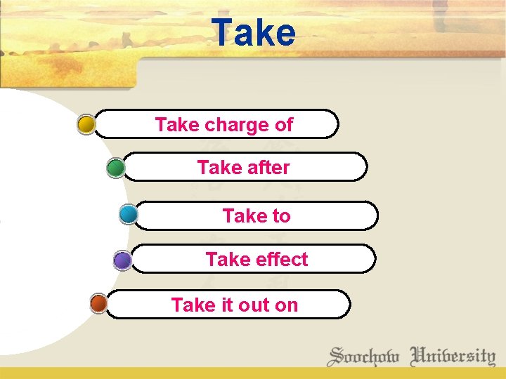 Take charge of Take after Take to Take effect Take it out on 