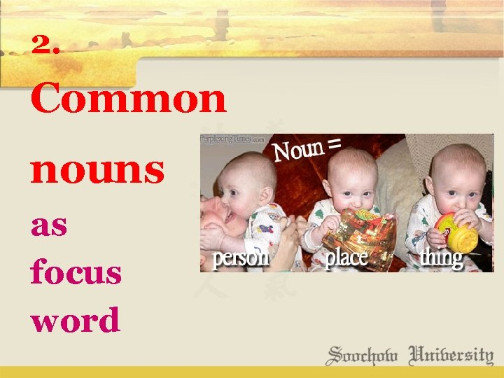 2. Common nouns as focus word 