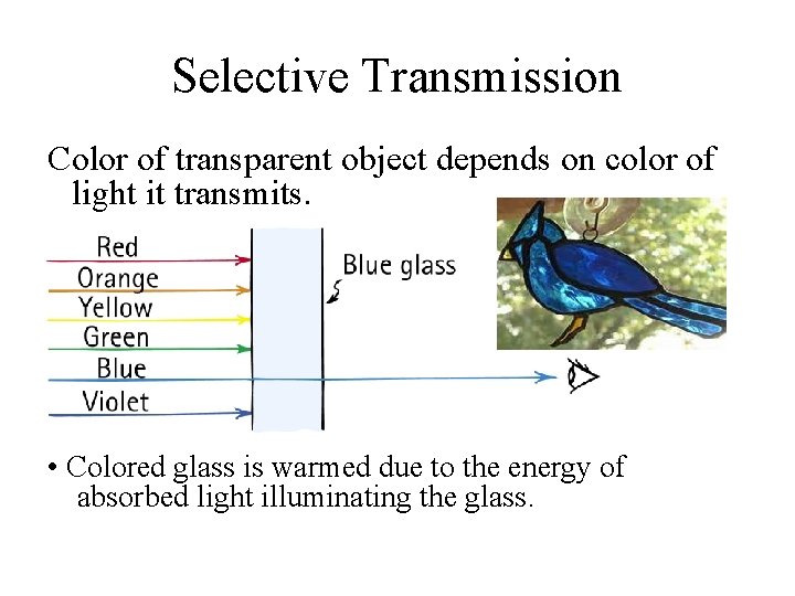 Selective Transmission Color of transparent object depends on color of light it transmits. •